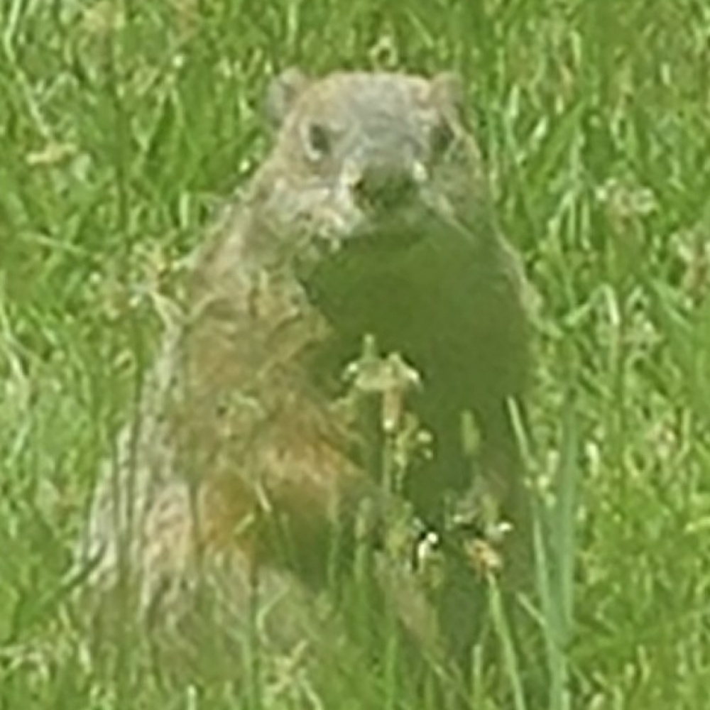 Meet your Posher, Stacey